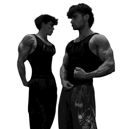 Eclipse Advanced Maiden Beater [2 Pack]