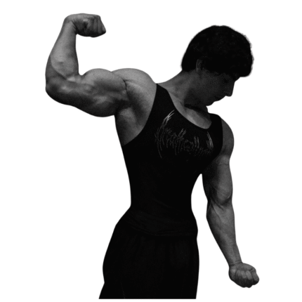 Eclipse Advanced Maiden Beater [2 Pack] Model